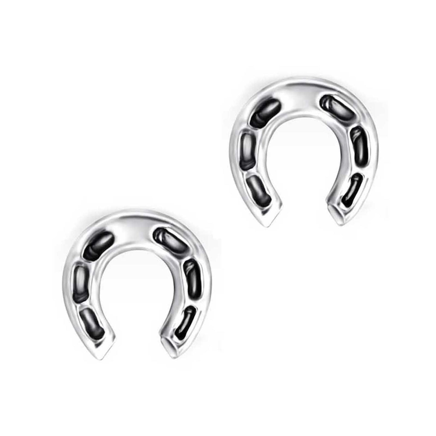 Ohrringe Hufeisen 925 Silber